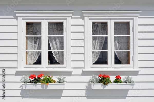 Fototapeta Windows with flowers