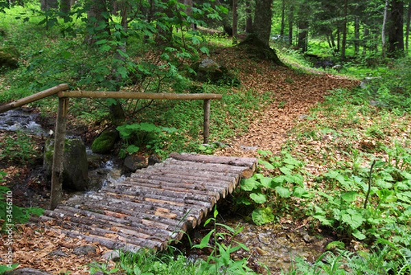 Obraz wooden bridge in forest