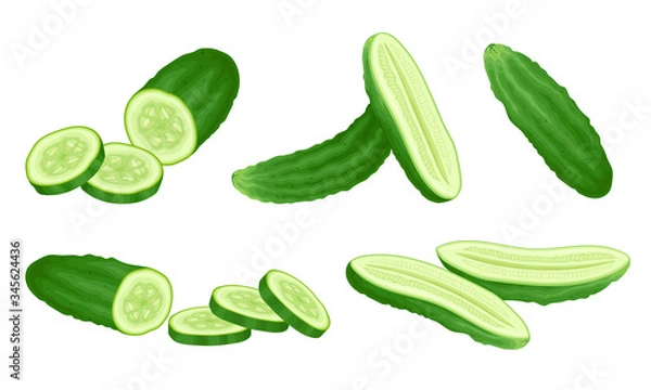 Fototapeta Fresh Green Salad Cucumber Sliced and Cut Vector Set