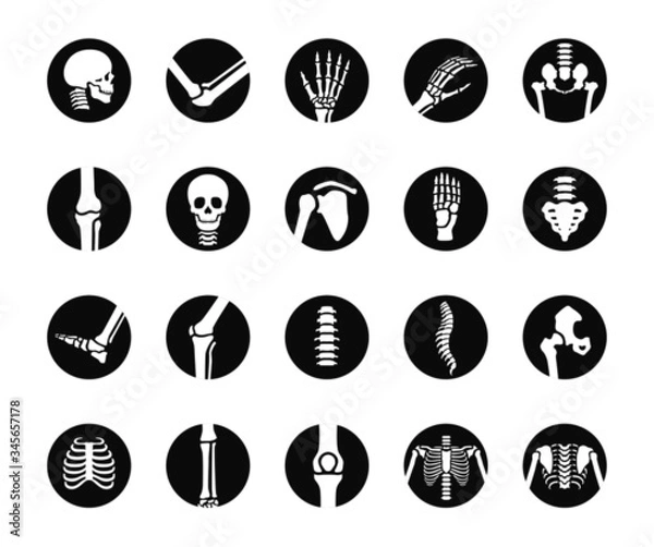 Fototapeta human bone and joint icon set, simple flat black circle design