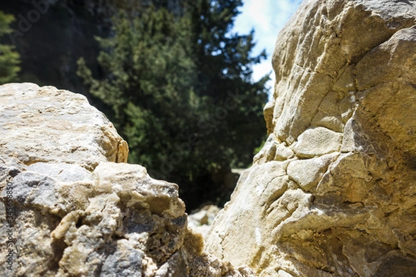 Obraz Rocks and Trees