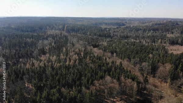 Fototapeta Forrest Arial view