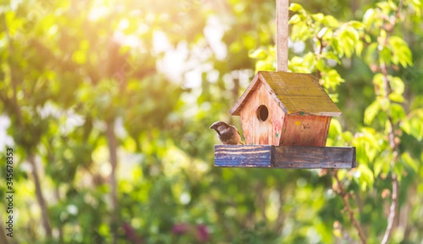 Fototapeta Colorful birdhouse in idyllic garden: Wooden birdhouse and copy space