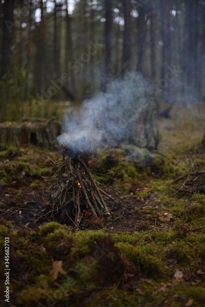 Fototapeta fire in the forest