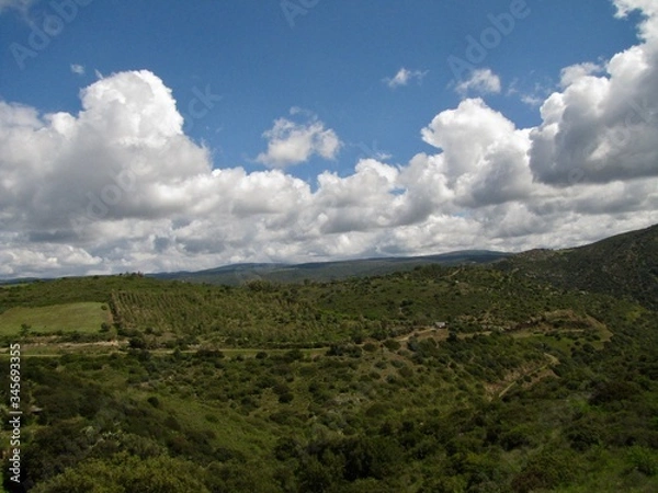 Fototapeta colline sarde