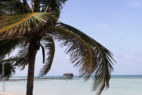 Obraz Strand mit Palme