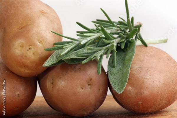 Obraz gekochte Pellkartoffeln mit Rosmarin und Salbei