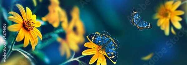 Obraz Small yellow bright summer flowers and tropical butterflies  on a background of blue and green foliage in a fairy garden. Macro artistic image. Banner format.