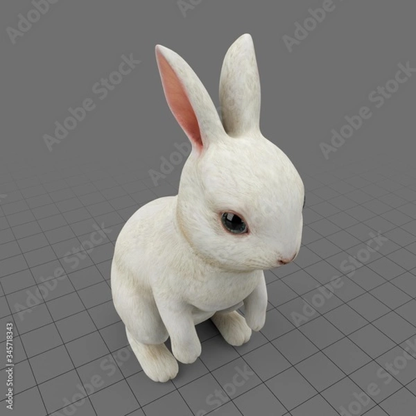 Obraz Biały Królik