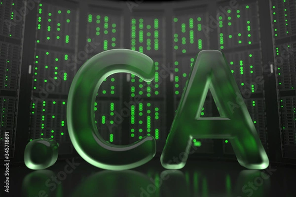 Fototapeta Canadian domain .ca on server room background. Internet in Canada related conceptual 3D rendering