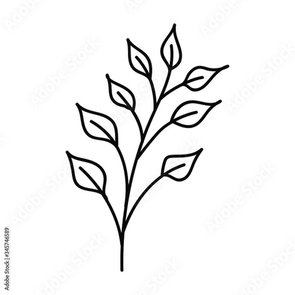 Fototapeta 
Branch of a plant on a white background. Wildflowers. Flowers from the field. Spring flowering plants