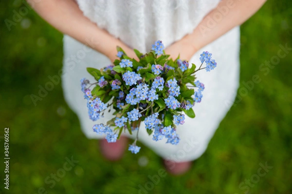 Obraz Forget me nots held by a girl on a grass background