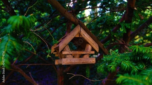 Fototapeta Wooden feeder for birds on a tree. 