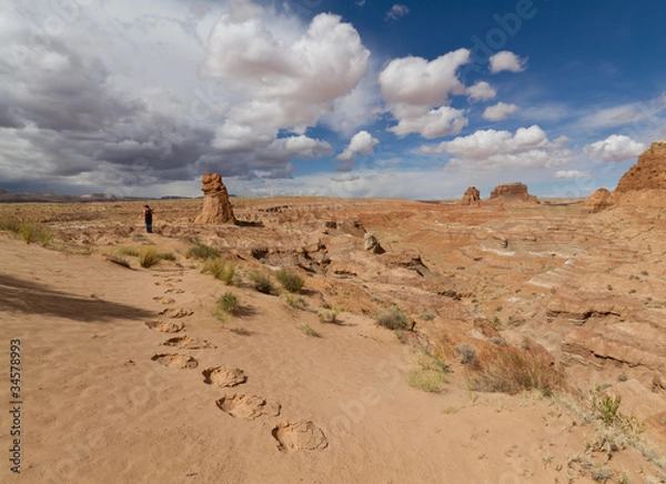 Obraz Exploring Goblin Valley by foot