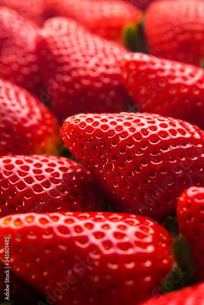 Obraz Strawberry. Fresh organic berries macro. Fruit vegan background