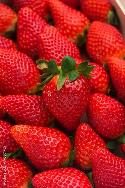 Obraz Strawberry. Fresh organic berries macro. Fruit vegan background