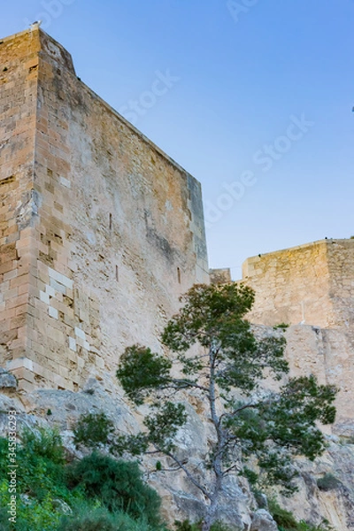 Obraz サンタ・バルバラ城
