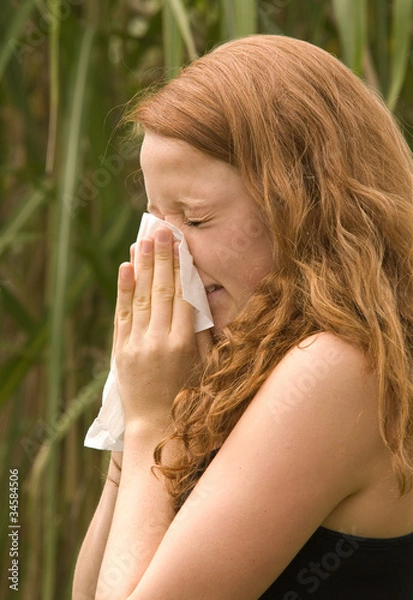 Obraz Heuschnupfen