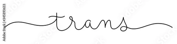 Fototapeta TRANS black vector monoline calligraphy banner with swashes