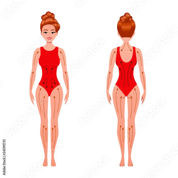 Fototapeta female with massage lines and directions on her body. Anti cellulite, exfoliation blood circulation and smooth skin.  dry brushing to reduce toxins and relieve swelling. Isolated vector illustration