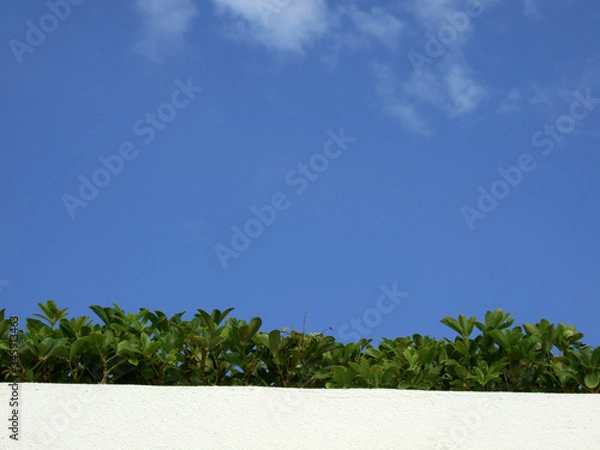 Obraz 癒しの青空