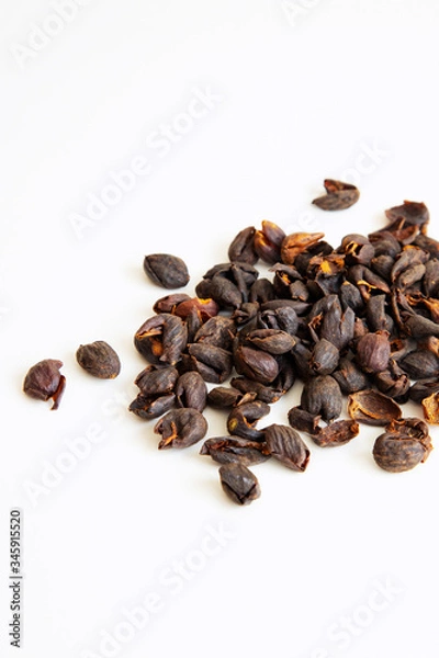 Obraz Coffee cherry  on the white background