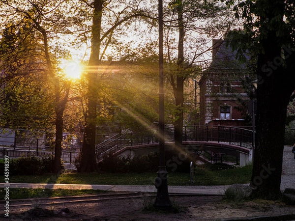 Obraz OLYMPUS DIGITAL CAMERA