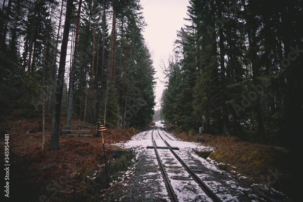 Fototapeta Old railroad in Swedish forrest 