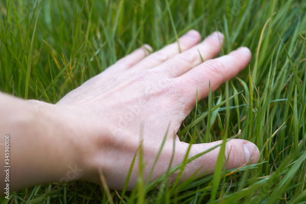 Fototapeta Caucasian man hand touching green soft grass
