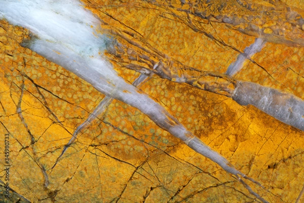 Obraz Texture of natural yellow jasper with cracks and veins of white quartz