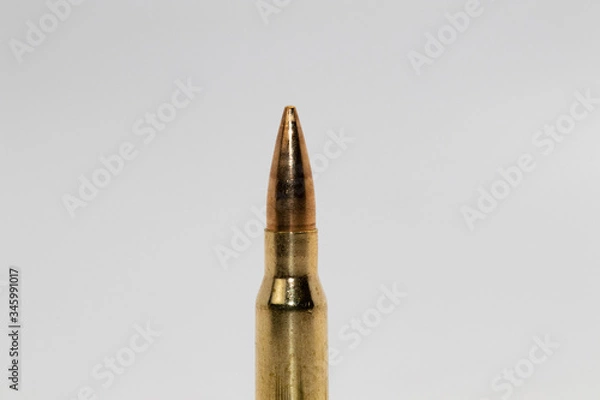 Obraz .308 cartridges
