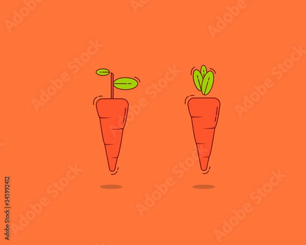 Fototapeta Vectorial icons of two carrots in front of an orange background