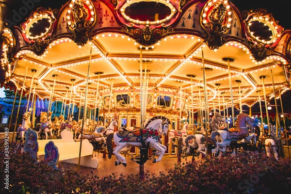 Obraz carousel in the park