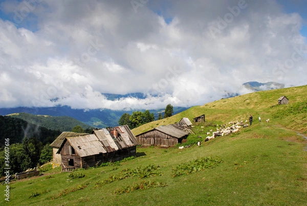 Obraz Carpathian landscape