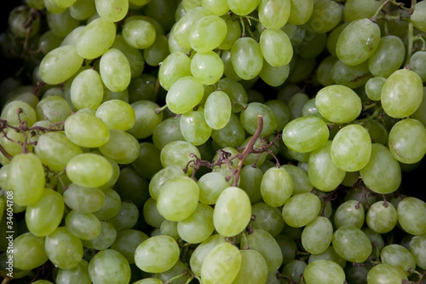 Obraz Green Grapes