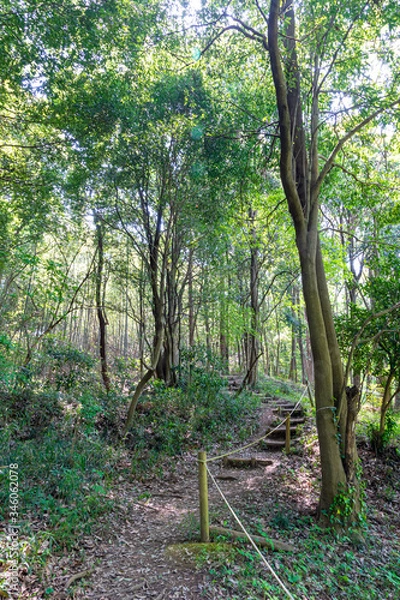 Fototapeta 【ふるさとイメージ】神奈川県 寺家ふるさと村