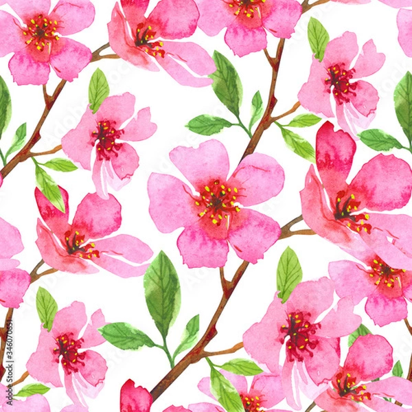 Fototapeta Watercolor cherry blossom flower seamless pattern. Sakura beautiful spring floral template. Colorful illustration isolated on white background
