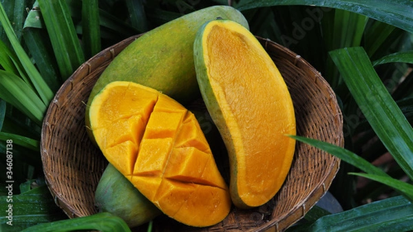 Obraz Mango tropical fruit in wooden basket put on green leaf background