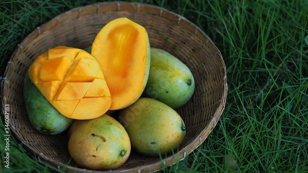Obraz Mango tropical fruit in wooden basket put on green leaf background