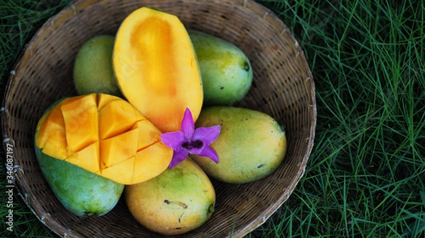 Obraz Mango tropical fruit in wooden basket put on green leaf background