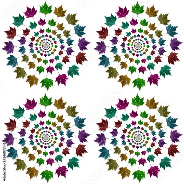 Fototapeta Circle shape design with colored maple leaves. Creative tree leaf isolated for textile pattern.