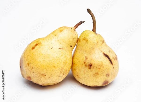 Obraz two yellow ripe pears on a white background