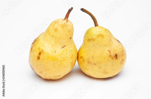 Obraz two yellow ripe pears on a white background