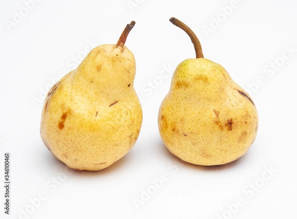 Obraz two yellow ripe pears on a white background