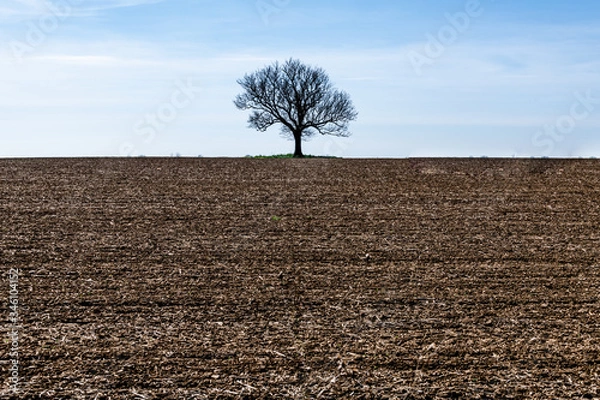 Obraz Great British countryside