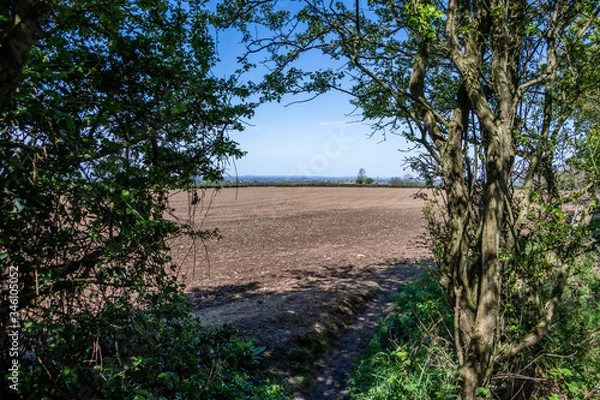 Obraz Great British countryside