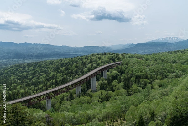 Obraz 北海道三国峠でみる緑の景色