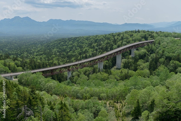 Obraz 北海道三国峠でみる緑の景色