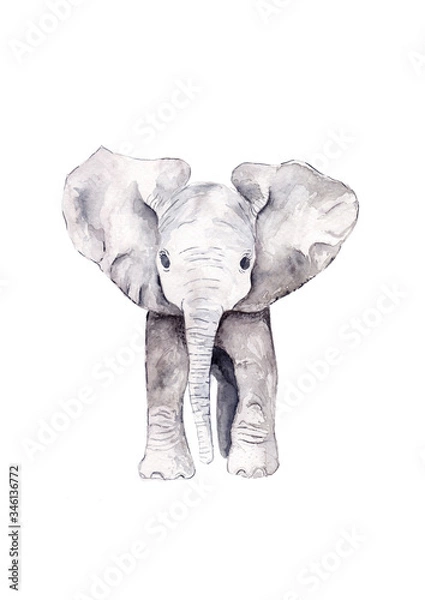 Obraz Cute Baby Elephant cielę stojący