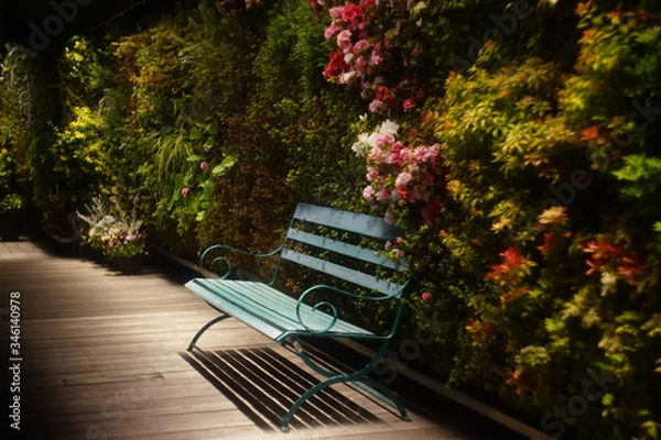 Fototapeta 青いベンチと花の壁